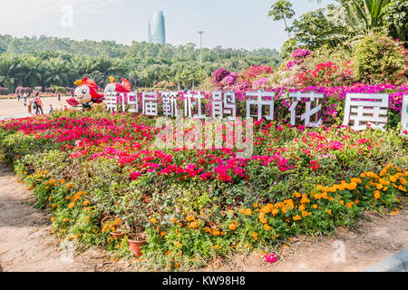 Shenzhen Lianhuashan Park Stockfoto