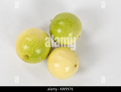 Eine Gruppe von drei Passionsfrucht auf weißem Hintergrund Stockfoto
