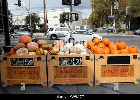 Kisten der Kürbisse Kürbisse und an Halloween außerhalb der Trader Joe Lebensmittelgeschäft auf Hyperion Avenue im silbernen See Los Angeles, Kalifornien, KATHY DEWITT Stockfoto