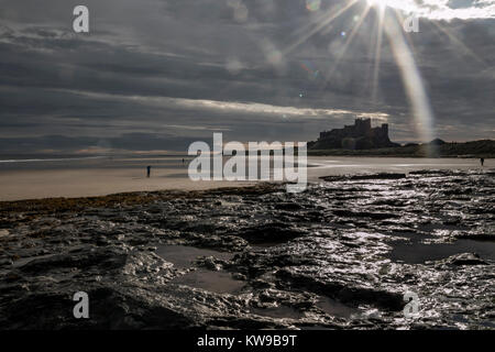 Bamburgh Castle auf der Northumbrian Küste, Northumberland, England, Großbritannien Stockfoto