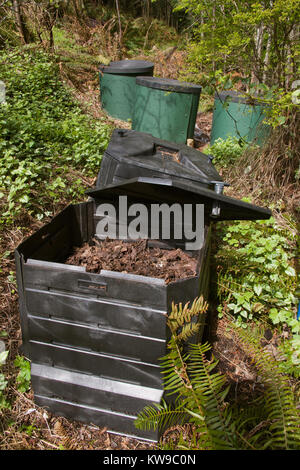 Blätter in ein Fach für den nächsten Frühling im Garten, in Sammamish, Washington, USA, kompostiert werden Stockfoto