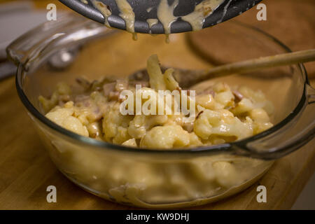 Einen Blumenkohl gratin Stockfoto