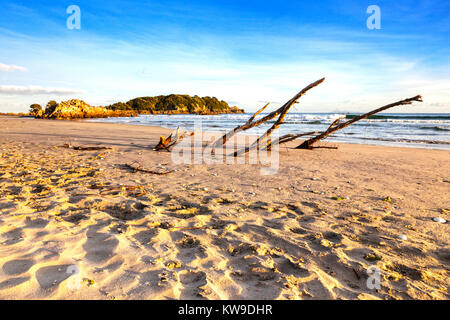 Beach, Mount Maunganui, Bay of Plenty, Neuseeland. Dies ist ein sehr beliebter Badeort auf Neuseelands Nordinsel. Stockfoto