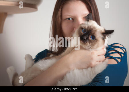 Junge Frau umarmte ihre Seal Point Birma Katze, 9 Monate alten Katze, Mann mit blauen Augen Stockfoto