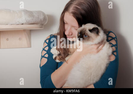 Junge Frau umarmte ihre Seal Point Birma Katze, 9 Monate alten Katze, Mann mit blauen Augen Stockfoto