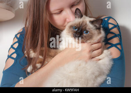 Junge Frau umarmte ihre Seal Point Birma Katze, 9 Monate alten Katze, Mann mit blauen Augen Stockfoto