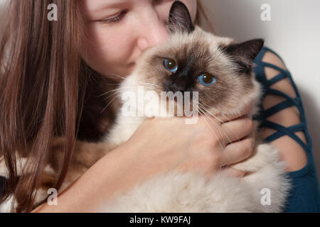 Junge Frau umarmte ihre Seal Point Birma Katze, 9 Monate alten Katze, Mann mit blauen Augen Stockfoto