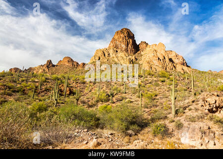 Malerische Wüstenlandschaft und Saguaro Kaktuspflanzen Blue Skyline Apache Trail Superstition Mountains Hike Lost Dutchman State Park Arizona USA Stockfoto