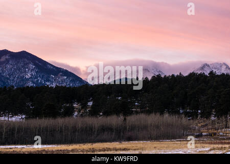 Rosa Stunde in Estes Park, Colorado Stockfoto