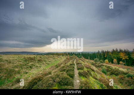 Bury Gräben Eisenzeit Hill fort Gräben und Wall Banken als Teil seiner defensiven Erdarbeiten alten Denkmal Stockfoto