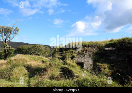 Dunboy Castle Castletownbere West Cork Irland Stockfoto