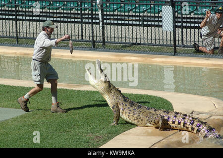 BEERWAH, Australien, 27. Februar, ein Wächter an den Australia Zoo Feeds ein Erwachsener Australier Süßwasser Krokodil, Crocodylus johnstoni, am 27. Februar 2010, in Beerwah, Australien. Stockfoto