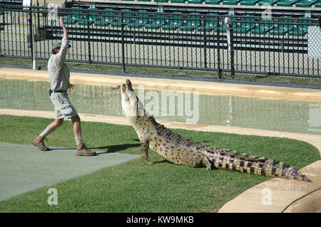 BEERWAH, Australien, 27. Februar, ein Wächter an den Australia Zoo Feeds ein Erwachsener Australier Süßwasser Krokodil, Crocodylus johnstoni, am 27. Februar 2010, in Beerwah, Australien. Stockfoto