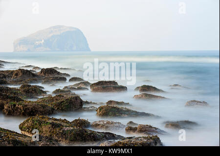 Seacliff Strand, Schottland, East Lothian Stockfoto