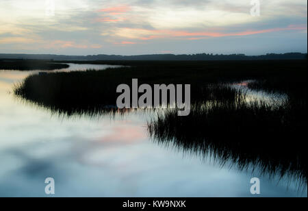 Callawassie Island, Salzwasser Marsh, South Carolina, USA, von Bill Lea/Dembinsky Foto Assoc Stockfoto