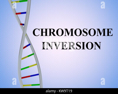 3D-Darstellung von Chromosom INVERSION script mit DNA-Doppelhelix, auf farbige Muster isoliert. Stockfoto