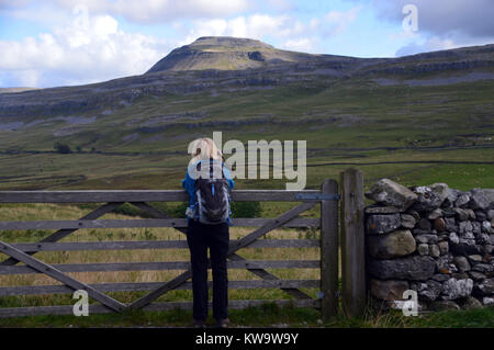 Eine Frau Sie Fotos von dem Berg aus Ingleborough Beezleys auf dem Fluss Doe Teil der Ingleton Wasserfällen gehen, Yorkshire Dales National Park. Stockfoto