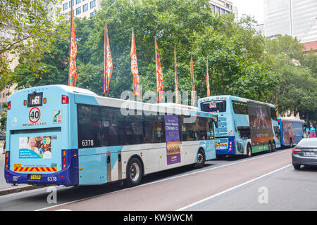 Drei Sydney Busse gestoppt an der Wynyard Haltestellen in der Innenstadt am frühen Morgen, Sydney, Australien Stockfoto