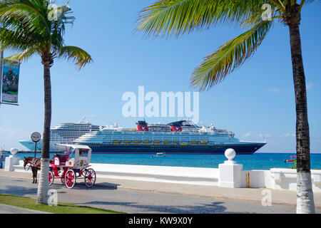 Cozumel, Mexiko, Pferd und Wagen mit Schiff im Hintergrund. Stockfoto