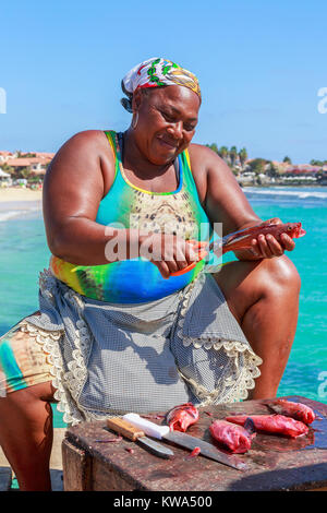 Lokale Frau von Santa Maria, Insel Sal, Salina, Kap Verde, Afrika ausnehmen und Vorbereitung frisch gefangenen Fisch Stockfoto