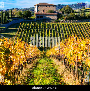 Beeindruckende Herbst Landschaft, mit bunten Weinberge, Toskana, Italien. Stockfoto