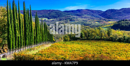 Beeindruckende Herbst Landschaft, mit Zypressen und Weinbergen, Toskana, Italien. Stockfoto