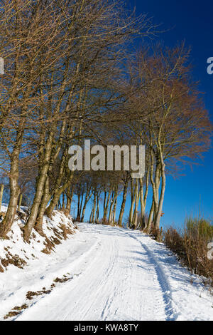 Dirt Road, Schnee und Sonnenschein in der Nähe des Eifeldorf Monschau Rohren im Winter, Deutschland. Stockfoto