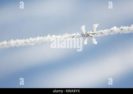 Glitzernde Eiskristalle auf ein stacheldrahtzaun nach einem eiskalten Nacht in der Eifel in der Nähe von Monschau, Deutschland. Stockfoto