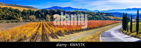 Beeindruckende Herbst Landschaft, Blick auf die farbenfrohen Weinbergen und Zypressen, Toskana, Italien. Stockfoto