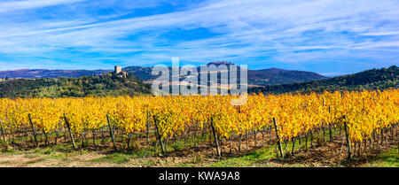 Beeindruckende Herbst Landschaft, mit bunten Weinberge, Toskana, Italien. Stockfoto