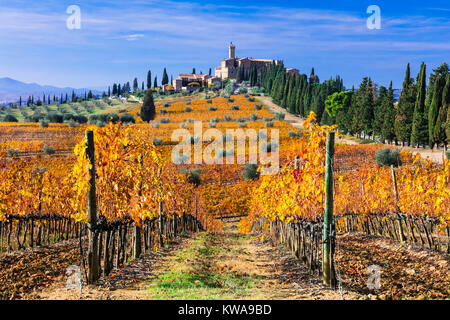 Beeindruckende Banfi Schloss, mit Blick auf Weinberge, Toskana, Italien. Stockfoto