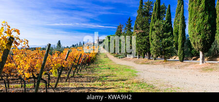 Beeindruckende Banfi schloss, Ansicht mit Weinbergen und Zypressen, Montalcino, Toskana, Italien. Stockfoto