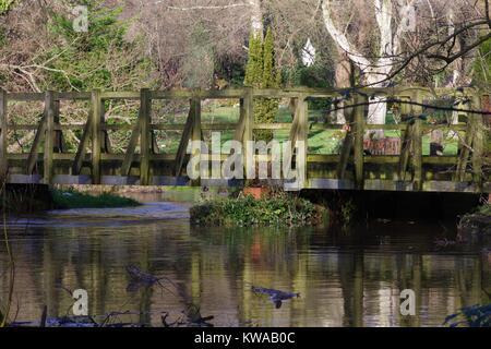 Victorian Engineering der Überwucherten Gräfin Wehr, Fluss Exe aufgegeben. Devon, UK. Dezember, 2017. Stockfoto