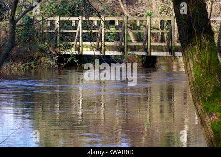 Victorian Engineering der Überwucherten Gräfin Wehr, Fluss Exe aufgegeben. Devon, UK. Dezember, 2017. Stockfoto