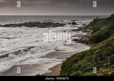 Steile Wiese mit Wildblumen Klippen über dem Strand mit Steinen bedeckt und Brechen der Wellen an der Küste von Cornwall, Cornwall, England, Großbritannien Stockfoto