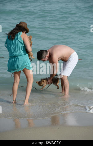 SMG Simon Cowell Lauren Silverman Eric Cowell FLXX Strand Kind Baby 022414 18.JPG Miami, FL - 24. Februar: Neue Eltern Simon Cowell und Lauren Silverman genießen Sie die Miami Beach mit ihren Yorkshire Terrier, Sqiddly und Diddly. Cowell und Silverman begrüßte ihre Sohn am Valentinstag vor 10 Tagen am 24. Februar in Delray Beach, Florida 2014. (Foto durch Stürme Media Group) Personen: Simon Cowell Lauren Silverman Eric Cowell Stockfoto