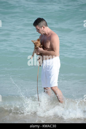 SMG Simon Cowell Lauren Silverman Eric Cowell FLXX Strand Kind Baby 022414 17.JPG Miami, FL - 24. Februar: Neue Eltern Simon Cowell und Lauren Silverman genießen Sie die Miami Beach mit ihren Yorkshire Terrier, Sqiddly und Diddly. Cowell und Silverman begrüßte ihre Sohn am Valentinstag vor 10 Tagen am 24. Februar in Delray Beach, Florida 2014. (Foto durch Stürme Media Group) Personen: Simon Cowell Lauren Silverman Eric Cowell Stockfoto