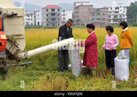 Nanchang, China's Jiangxi Province. 21 Okt, 2017. Landwirte in einem Reisfeld von Anhe Dorf in Zishan Stadt Yudu County ernten, der ostchinesischen Provinz Jiangxi, Okt. 21, 2017. Provinz Jiangxi hart gearbeitet, im Jahr 2017 der Kampf gegen die Armut zu gewinnen. Credit: Peng Zhaozhi/Xinhua/Alamy leben Nachrichten Stockfoto