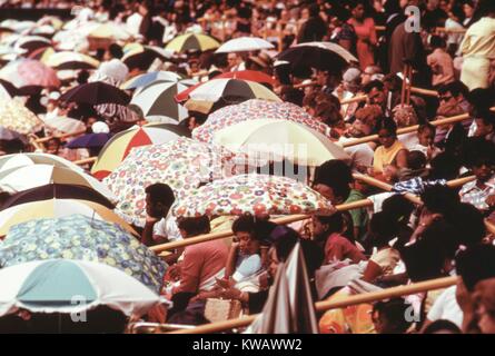 Angehörige der Zeugen Schatten sich die Zeugen von der Sonne mit Sonnenschirmen während der Jahrestagung der Gruppe in der White Sox Park in Chicago, Illinois, Juli, 1973. Bild mit freundlicher Genehmigung von John White/US National Archives. Mit freundlicher Genehmigung der nationalen Archive. Stockfoto