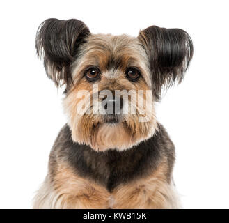 In der Nähe einer Kreuzung (10 Jahre alt) Stockfoto