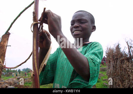 Cyuve Camp, Ruanda, für die Flüchtlinge aus dem Nyriragongo Vulkanausbruch am 18 Jan 2002 in der Nähe von Goma in der Demokratischen Republik Kongo. Danca Vivance, 13, ist eine Zuflucht für sich. Er floh in diesem Camp mit einer relativen Wer hat ein Tierheim in der Nähe. Stockfoto