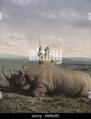 Theodore Roosevelt triumphierend nach der Tötung einer großen Stier Rhino in Afrika im Jahr 1909. In AFRICAN GAME WANDERWEGE, Roosevelt berichtete über die folgenden tötet der großen Säugetiere: 17 3 Löwen, Leoparden, Geparden, Hyänen 7 9, 11 Elefanten, 10 Büffel, 11 schwarzen Nashörner und 9 w (BSIC 2016 9 13). 7 Kontinente Geschichte/Everett Collection Stockfoto