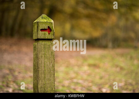 Roter Pfeil in Richtung Post Stockfoto