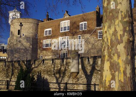 Der Tower von London Curtain Wall und Stamm von London Plane Tree, London, UK. Dezember, 2017. Stockfoto