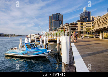 Motorboote und Yellow Water Taxi günstig an der Cockle Bay in Darling Harbour (Hafen), Sydney, Australien Stockfoto