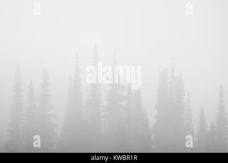 Wolken und Nebel erstellen ändern Wetter Landschaften für Skifahrer und Mountainbiker auf dem Whistler Blackcomb Berge in British Columbia Kanada Stockfoto