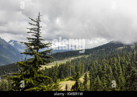 Wolken und Nebel erstellen ändern Wetter Landschaften für Skifahrer und Mountainbiker auf dem Whistler Blackcomb Berge in British Columbia Kanada Stockfoto