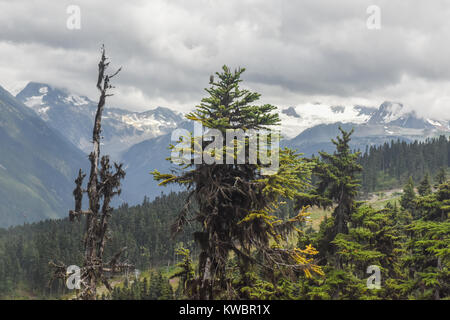 Wolken und Nebel erstellen ändern Wetter Landschaften für Skifahrer und Mountainbiker auf dem Whistler Blackcomb Berge in British Columbia Kanada Stockfoto