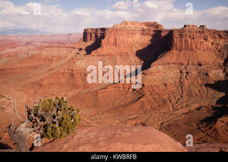 Tiefe Täler und hohe BUTTES von der Colorado River im Canyonlands Utah schnitt Stockfoto