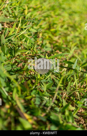 Tausend Rupiah Münze Geld auf grünem Gras Stockfoto